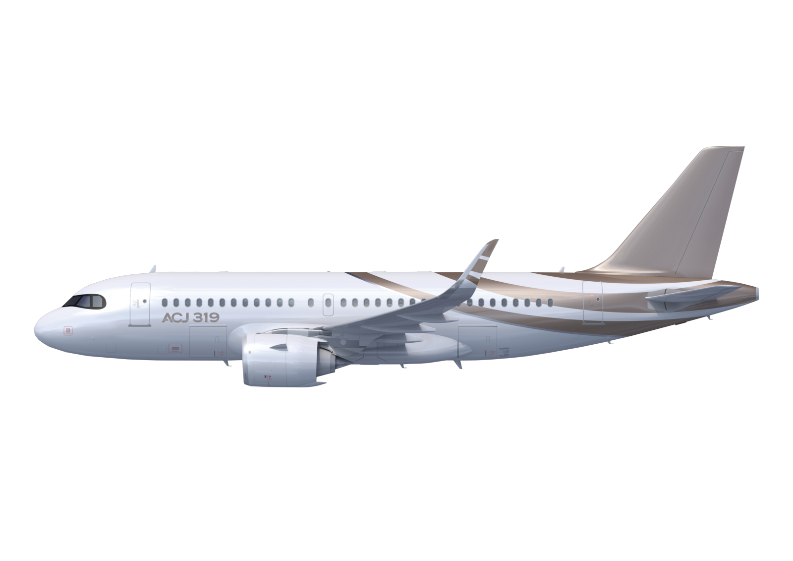 AIRBUS ACJ319 Private Jet